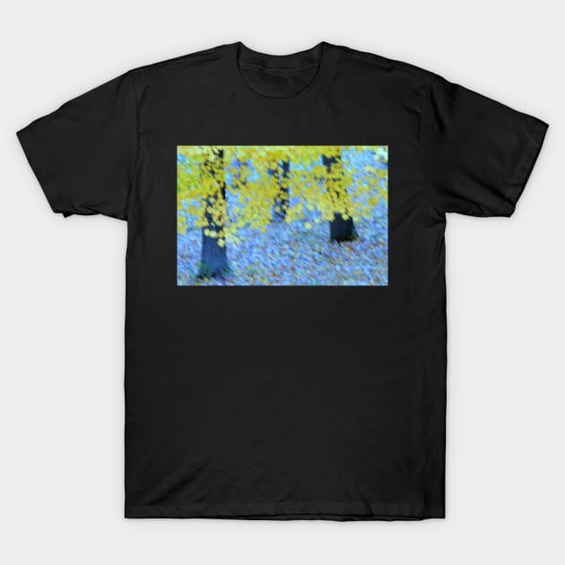 Autumn impressionism #2 T-Shirt by LaurieMinor